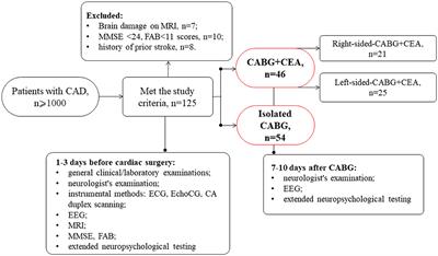 Cognitive functions and patterns of brain activity in patients after simultaneous coronary and carotid artery revascularization